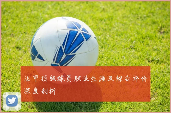 法甲顶级球员职业生涯及综合评价深度剖析