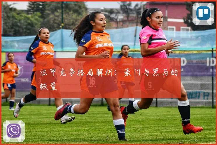 法甲竞争格局解析：豪门与黑马的较量