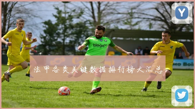 法甲各类关键数据排行榜大汇总