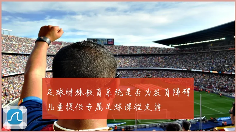 足球特殊教育系统是否为发育障碍儿童提供专属足球课程支持